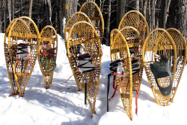 Snowshoes Hartwick Pines