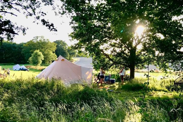 Wild Combe Camping