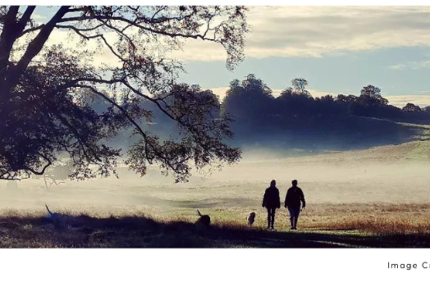 Autumn Walk in Petworth Park