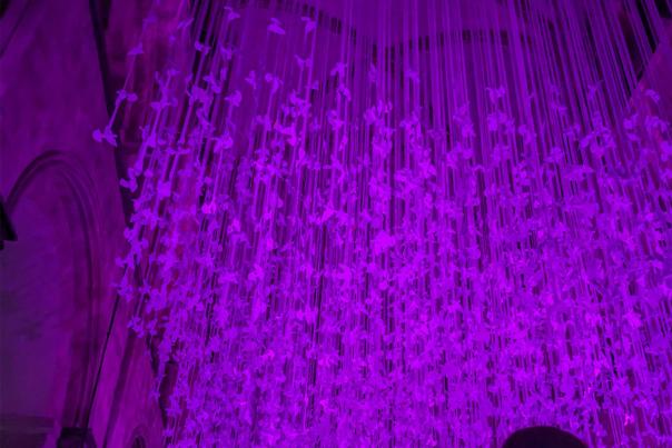 Peace Doves immersive installation at Chichester Cathedral