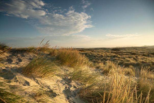 Dunes at East Head, West Wittering