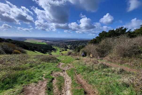 a view of countryside from Kingley Vale