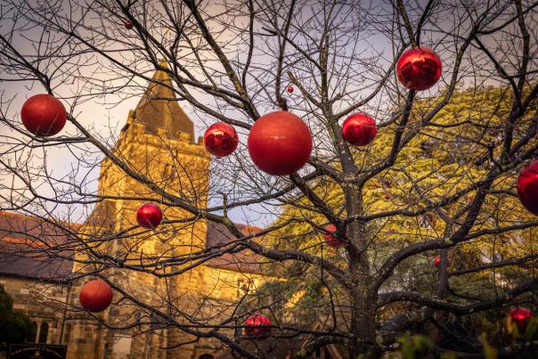 Baubles hang from a tree with a Church in the background