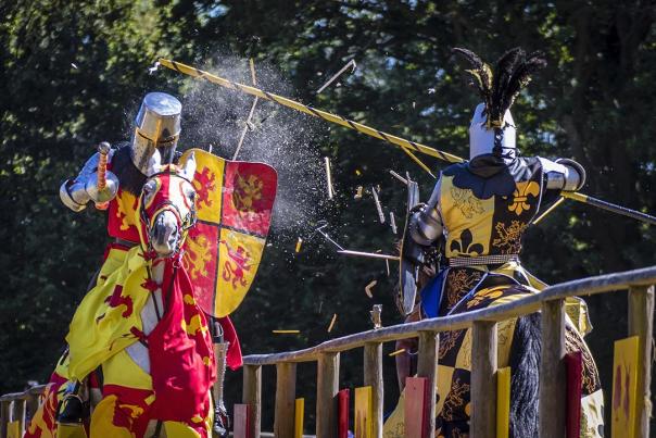 Knights and horses at The Loxwood Joust