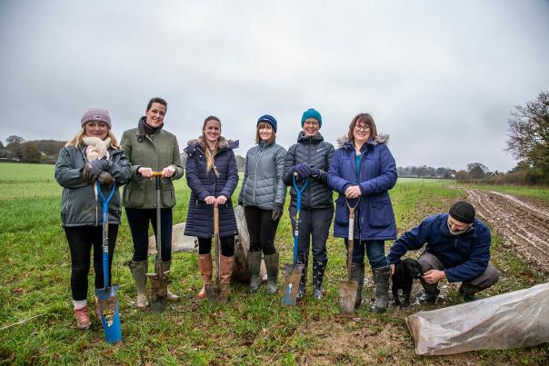 Goodwood employees have been planting trees across the estate