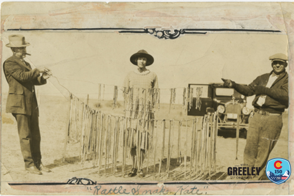 Historic photo of "Rattlesnake" Kate Slaughterback with two men holding up the snake skins of all the rattlesnakes she killed
