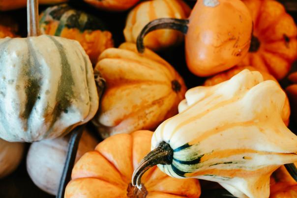 Close up of multiple different types of pumpkins. Yellow, green, and orange pumpkins.