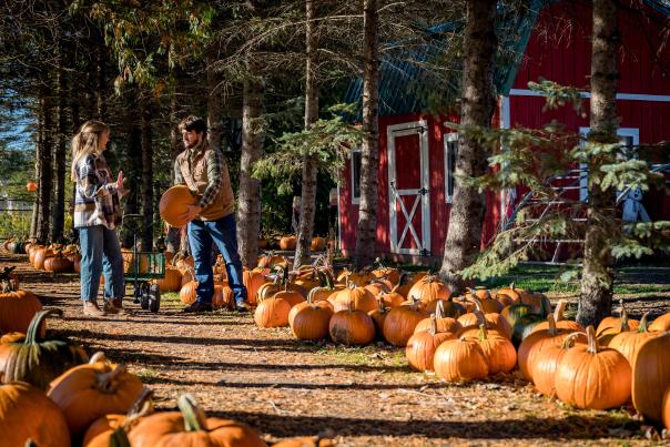 Fall Photo
