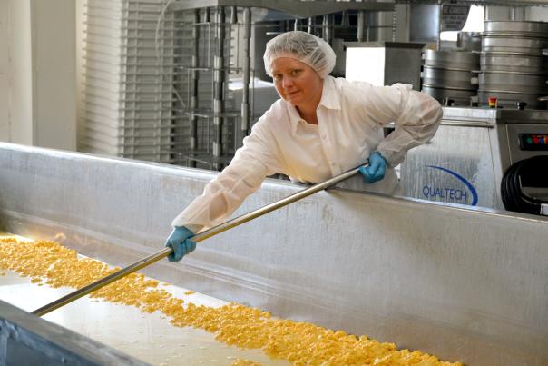 Cheese Factory at Renard&#039;s Cheese