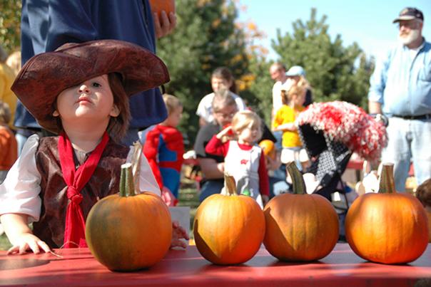 Can&#039;t Miss Green Bay Fall Events