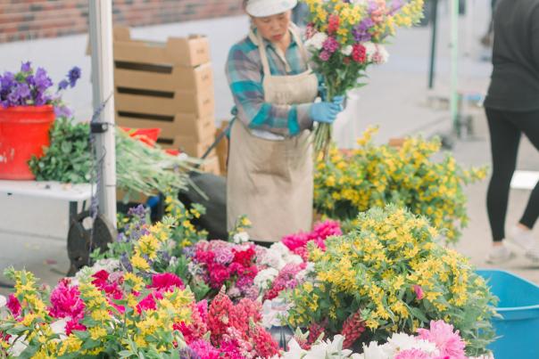 Green bay farmers market guide