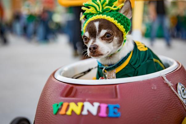 Packers dog credit travel wisconsin