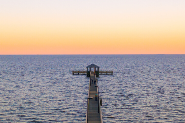 Stay well and support Coastal Mississippi