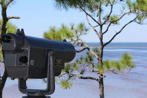 St. Joseph Bay Buffer Preserve Lookout Tower