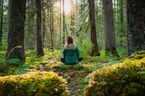 Forest Bathing