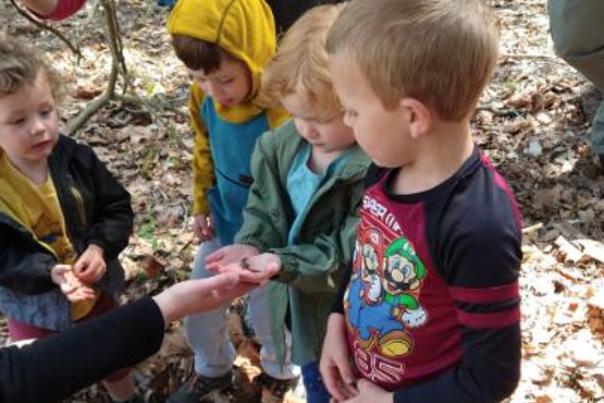 Salamanders at McCloud Nature Park