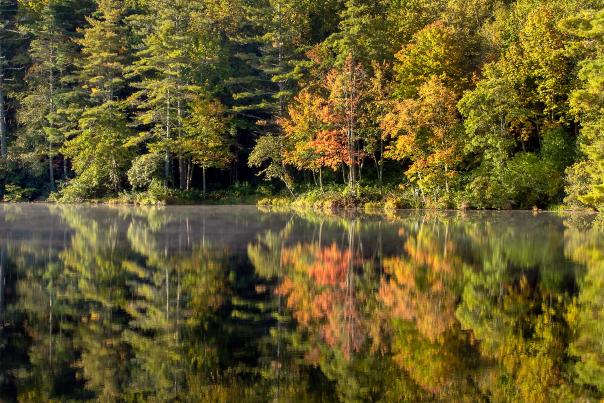 Welcome Fall Lake Sequoyah