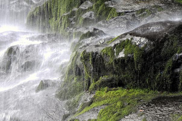 Water Dripping