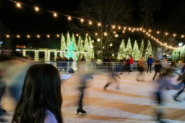 Night time Ice Skating