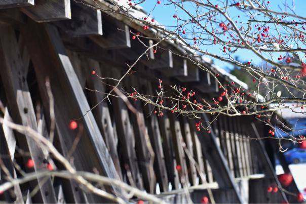 Winter Bascom Bridge