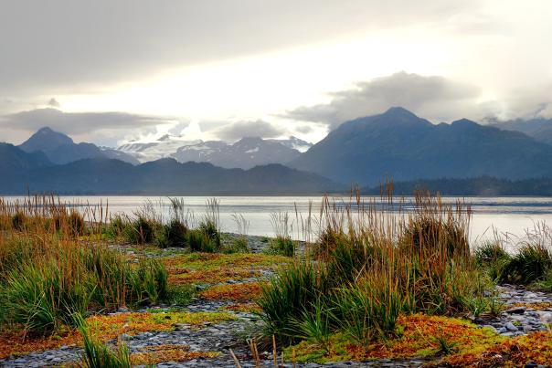 An ocean photo of Homer, Alaska in the fall.