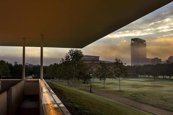 rice university