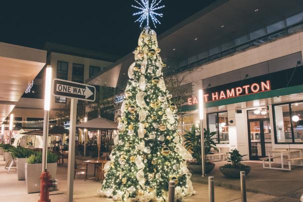River Oaks District Holiday Christmas