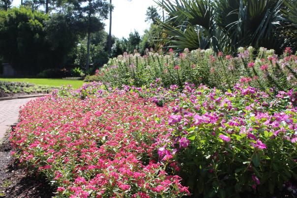 Mercer Arboretum and Botanical Gardens