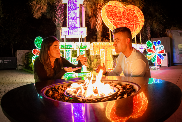 Zoo Lights