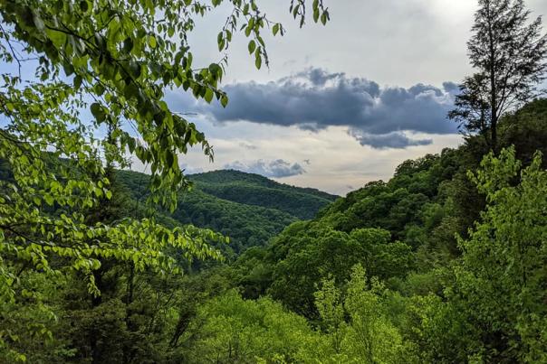 View along the Thousand Steps - Standing Stone Trail