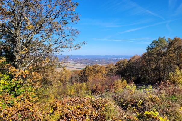 View from an overlook in Rothrock State Forest