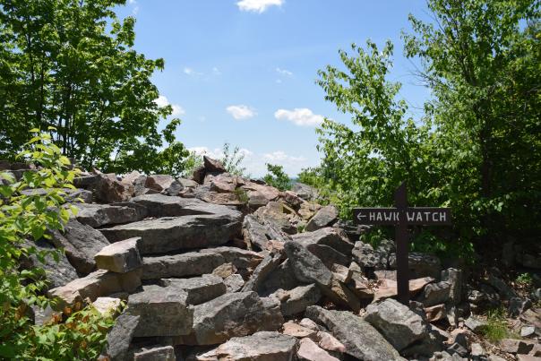 View of trail up to Hawk Watch along the Standing Stone Trail