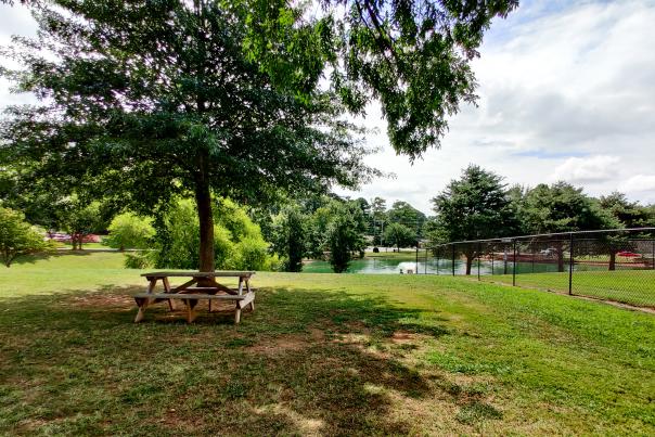 Dublin Park Picnic Table