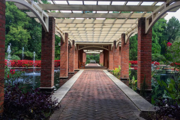 Getting Your Steps In blog