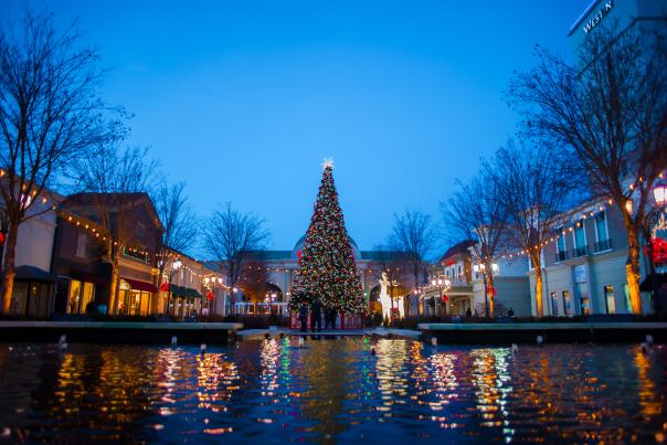 Bridge Street Christmas Tree