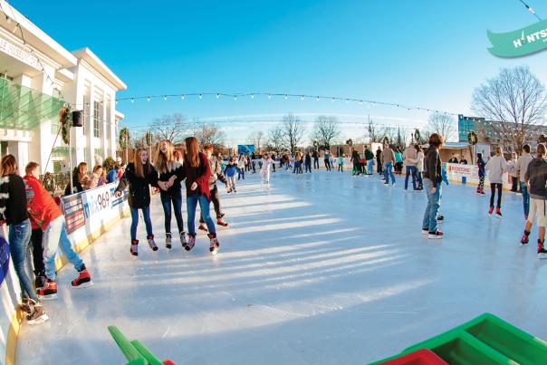 Holiday Zoom - Skating in the Park