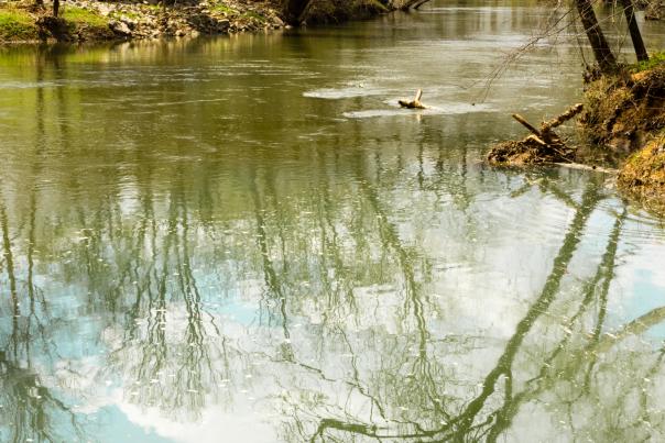 bridge-Flint-River-Hayes-Nature-Preserve