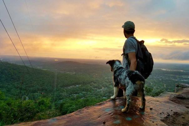 Dog Hiking