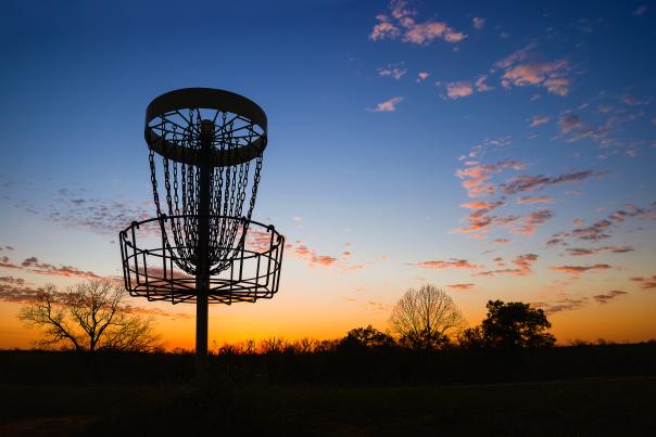 Disc Golf Generic