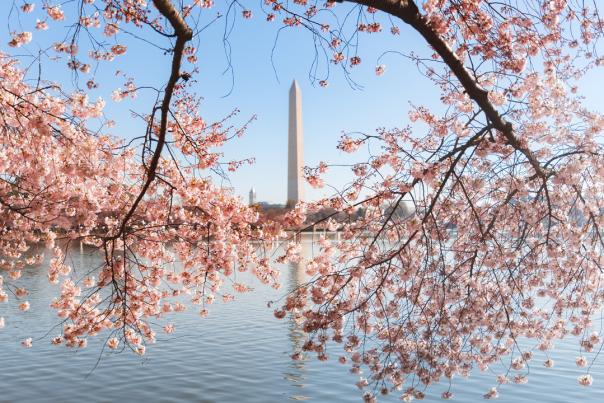 Discover an Unforgettable Weekend in DC