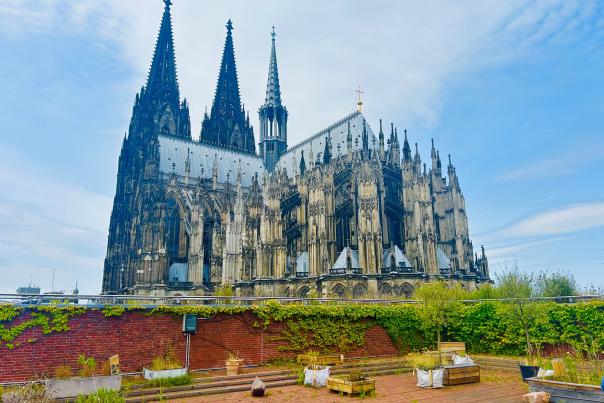 Cologne-3