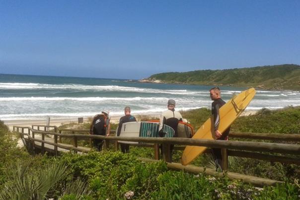Surf, Yoga and Whales in Santa Catarina