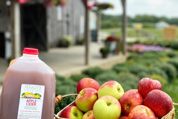 A basket of apples and gallon of cider from Beasley's Orchard in Danville