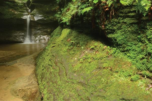 Turkey Run State Park waterfall