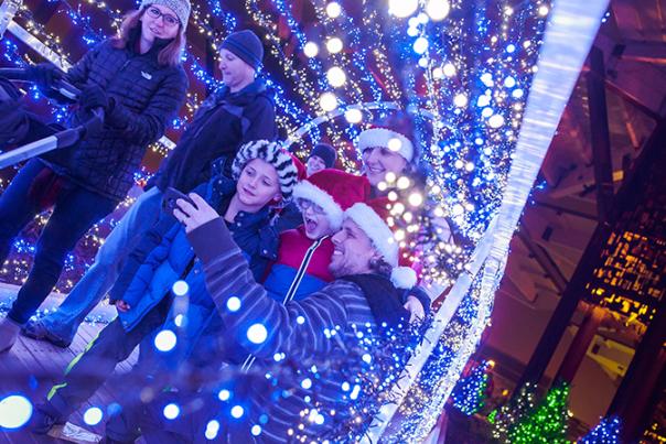 Christmas at the Zoo