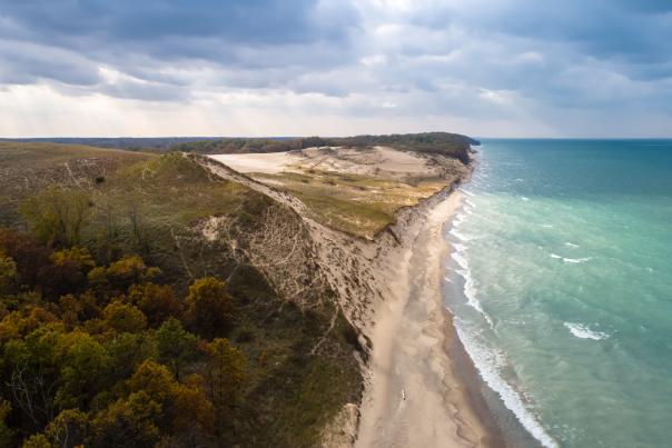 Indiana Dunes Beach from Above