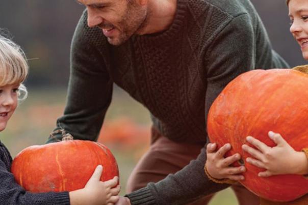Fall Fun Along the South Shore