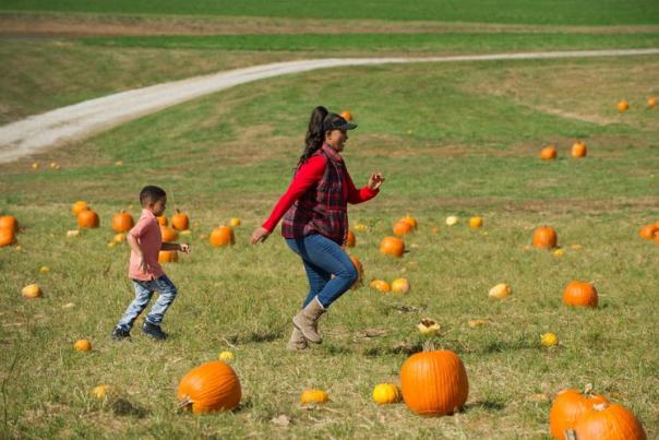 Joe Hubers parent leading Children in pumpkin patch