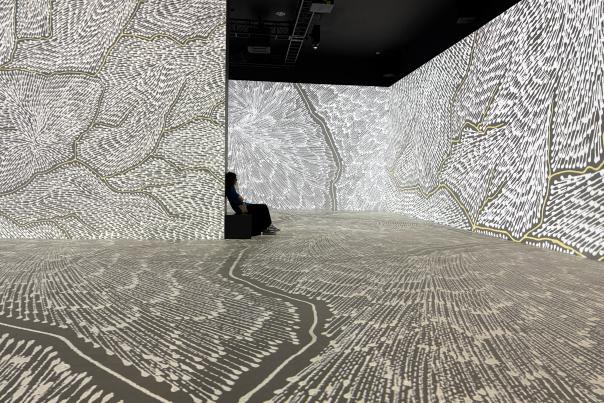 “Connection: Land, Water, Sky – Art & Music from Indigenous Australians the LUME Newfields Indianapolis
