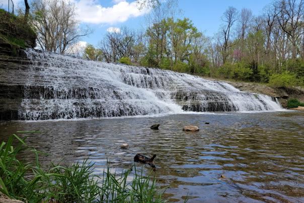 Thistlethwaite Falls